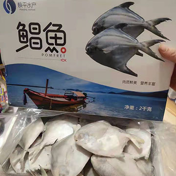纯野生海捕银鲳