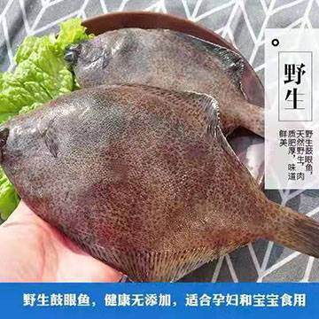 高眼鱼